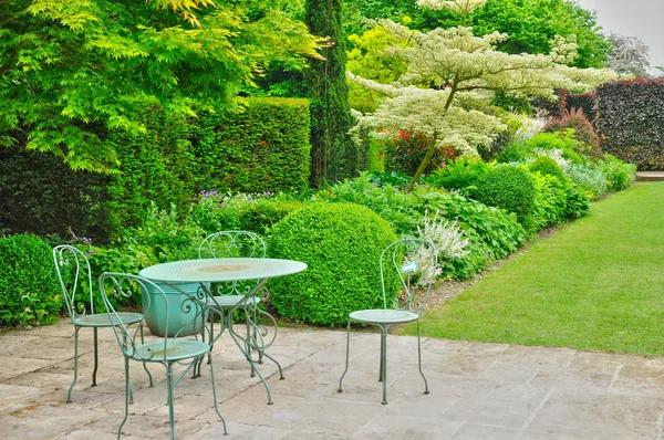 The Fertilizer Dilemma: Nurturing Nature in Your Garden